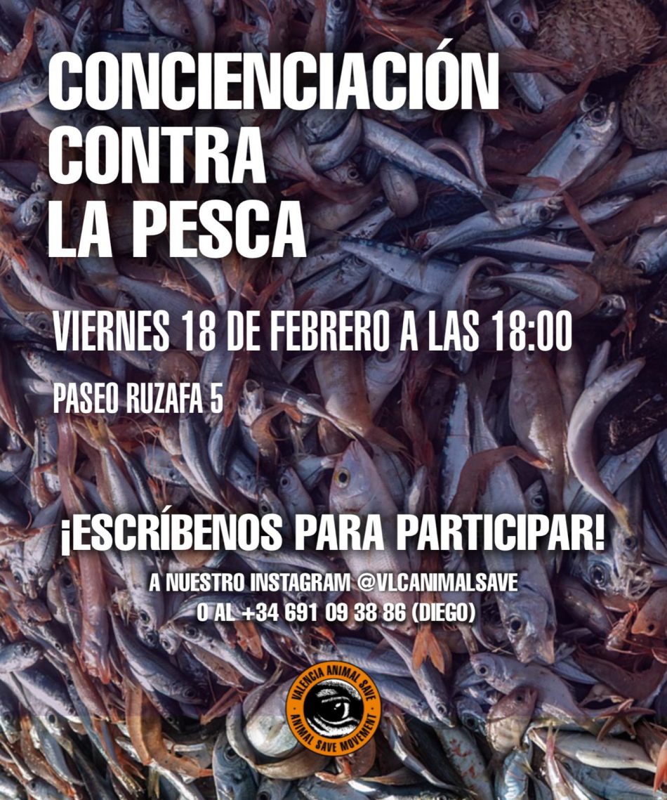 «Concienciación contra la pesca» en Valencia: viernes 18 de febrero, acción para visibilizar la realidad de la pesca