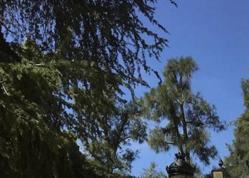 El Ayuntamiento de Almendralejo, primer nominado a La Motosierra de Atila 2022