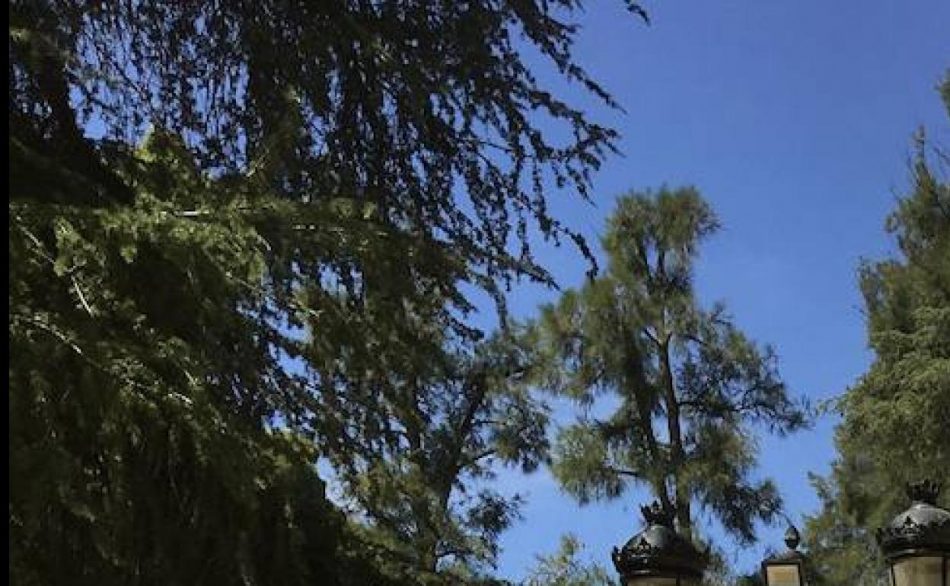 El Ayuntamiento de Almendralejo, primer nominado a La Motosierra de Atila 2022
