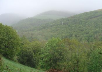 Comenza a recollida de  sinaturas para sacar adiante unha ILP que protexa o monte comunal a nivel galego