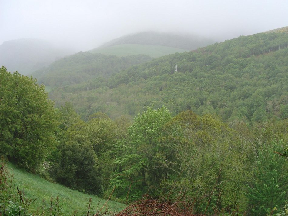 Comenza a recollida de  sinaturas para sacar adiante unha ILP que protexa o monte comunal a nivel galego