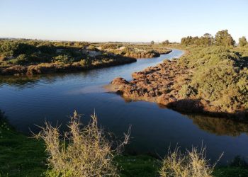 Unidas Podemos registra una iniciativa en el Congreso para recuperar y restaurar la Laguna de la Janda