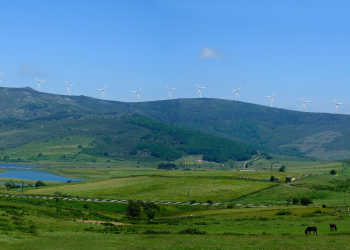 Piden medidas cautelares para paralizar el complejo eólico del Escudo, por sus daños a hábitats prioritarios de la Red Natura 2000