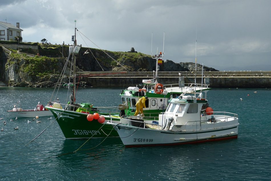 El sector pesquero asturiano y decenas de colectivos de ámbitos esenciales rechazan de manera tajante las «falsedades» vertidas en prensa por Black Dragon Gold sobre la mina de oro de Salave