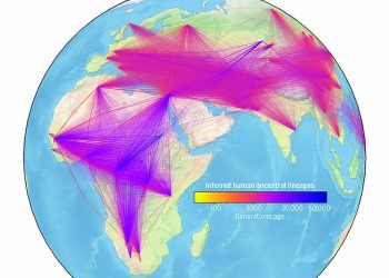 Un enorme árbol genealógico para comprender la familia humana