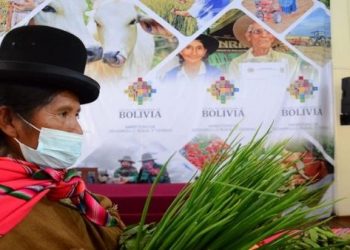 Gobierno boliviano destina presupuesto a seguridad alimentaria