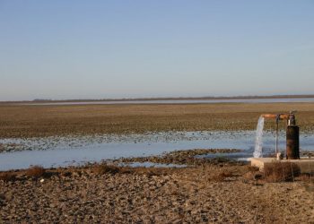 Valero acusa a Moreno de “engañar a los agricultores de Doñana” porque “sabe que ha generado expectativas inviables”