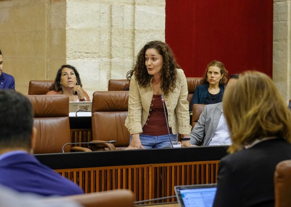 Inmaculada Nieto (UP) señala que Moreno Bonilla es un “mal gobernante” y le acusa de “dejarse arrastrar por los delirios de Casado”