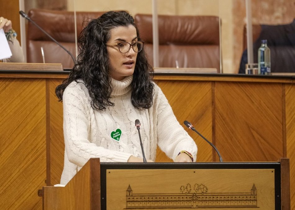 Unidas Podemos lleva al Parlamento el ERE de Atento y pide al Gobierno andaluz que “ejerza sus competencias para evitar despidos”