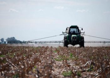 El poder del agronegocio en América Latina
