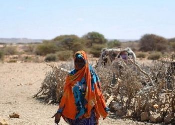 Unicef alerta sobre 6.8 millones de etíopes afectados por sequía