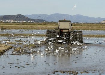 Día de los Humedales, una oportunidad para reivindicar la agricultura y la ganadería sostenible