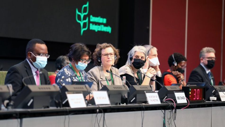 [COP15 Biodiversidad] Finalizan las reuniones de Ginebra con algunos avances pero resultados decepcionantes