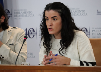 Unidas Podemos presenta una batería de propuestas para ampliar la vivienda pública en Andalucía y luchar contra la especulación