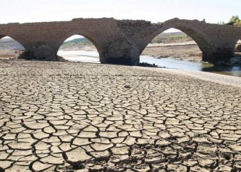 La Mesa de la Sequía crea un grupo permanente de trabajo para el seguimiento del impacto de la escasez de agua en las producciones agrarias
