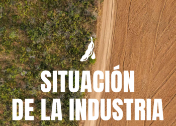 La deforestación avanza de la mano de la industria de la soja