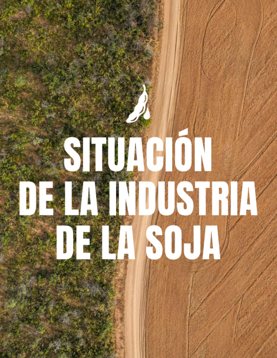 La deforestación avanza de la mano de la industria de la soja