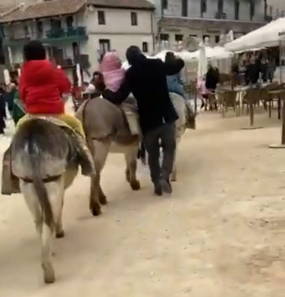 «El sufrimiento mudo de los burros de Chinchón»