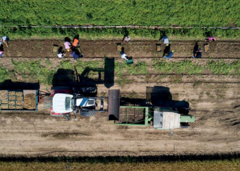 La explotación laboral y el expolio ambiental, dos caras de la misma moneda en la producción industrial de alimentos