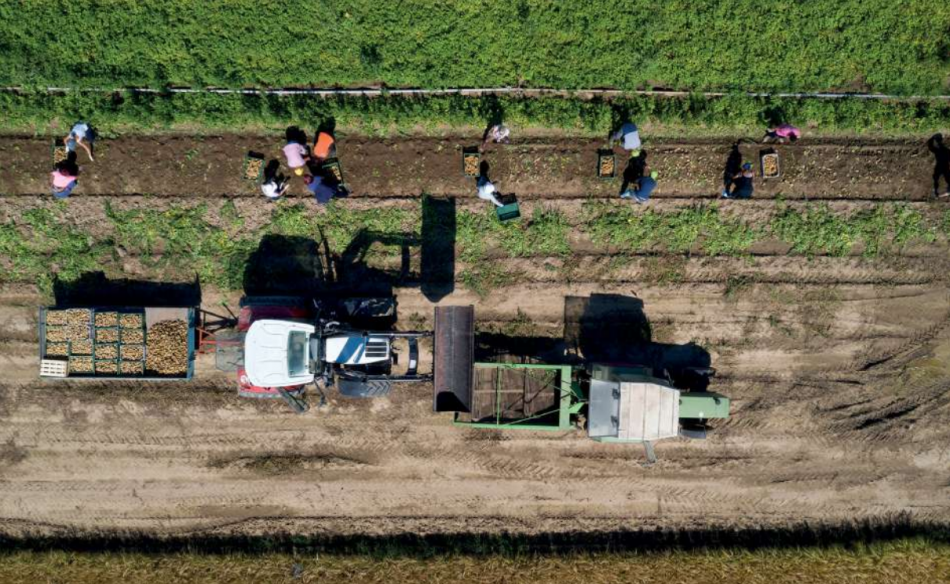 La explotación laboral y el expolio ambiental, dos caras de la misma moneda en la producción industrial de alimentos