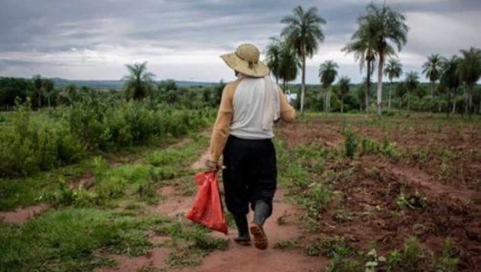 Paraguay o Sojaguay: el resultado del agronegocio