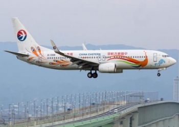 Un avión con 133 personas a bordo se estrella en el sur de China