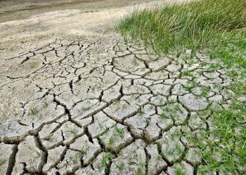 Verdes Equo exige más ambición climática al Gobierno: “El  informe del IPCC advierte de que las medias tintas no son una opción»