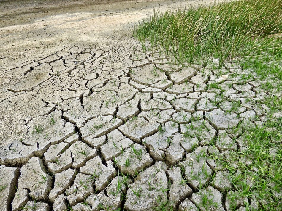Verdes Equo exige más ambición climática al Gobierno: “El  informe del IPCC advierte de que las medias tintas no son una opción»