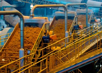 La guerra en Ucrania podría aumentar las 10.000 toneladas de trigo que Europa quema cada día para biocombustibles