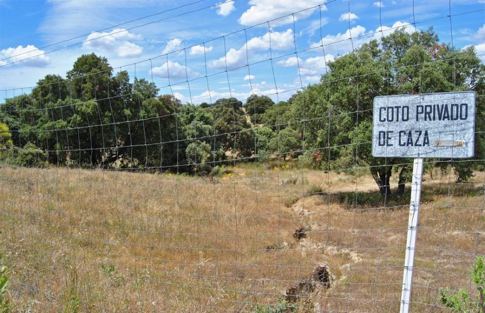 CGT se muestra esperanzada y cautelosa ante la respuesta de Ministerio y Generalitat a la denuncia de inconstitucionalidad de la Ley de caza valenciana