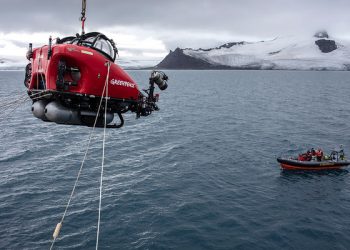 Greenpeace descubre una gran biodiversidad en la inmersión más al sur de la historia