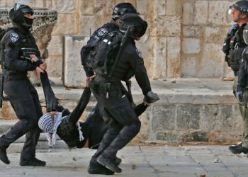 Irán denuncia pasividad de ONU ante crímenes de Israel