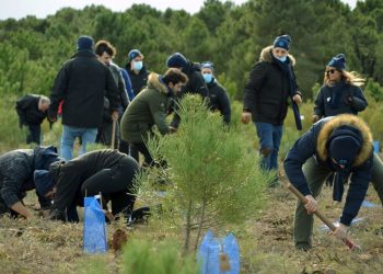 Los sindicatos reclaman la regulación de la figura del Delegado Medioambiental