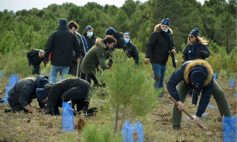 Los sindicatos reclaman la regulación de la figura del Delegado Medioambiental