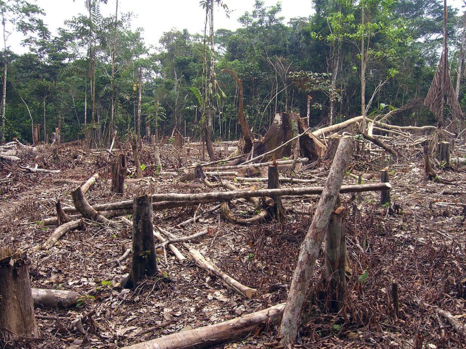 Al menos el 44% de la Tierra necesita un plan urgente de conservación para evitar la pérdida de biodiversidad