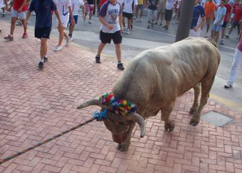 Rechazan la celebración del Toro en cuerda del Domingo en Alfafar