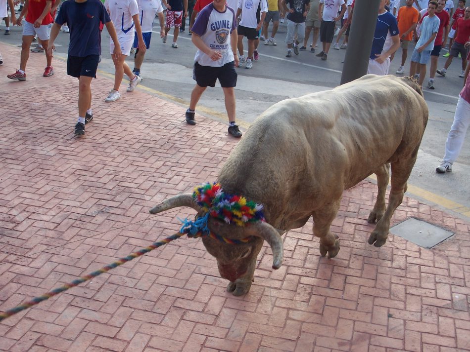 Rechazan la celebración del Toro en cuerda del Domingo en Alfafar