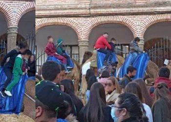 PACMA advierte de la explotación de camellos en las Jornadas Medievales de Oropesa