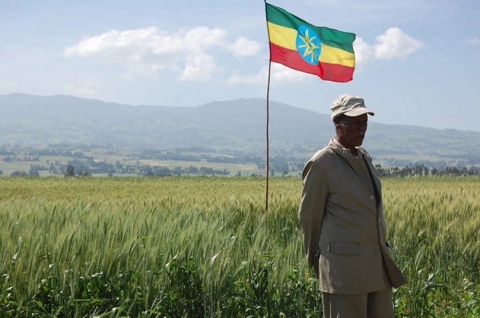 Etiopía autoriza la importación de alimentos básicos sin pagar divisas