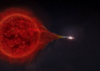 Detectada la explosión de una estrella ‘vampiro’ desde Canarias
