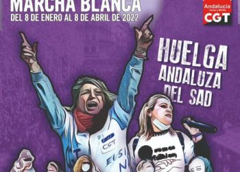 Atención Domiciliaria en Huelga y finalización de la primera marcha blanca del SAD ante la sede de la Presidencia de la Junta de Andalucía en Sevilla