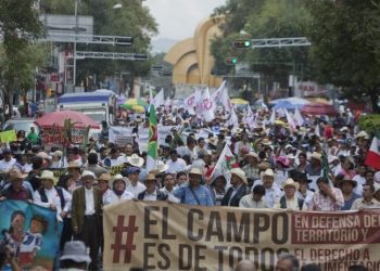 ¿Por qué se conmemora el Día Mundial de la Lucha Campesina?