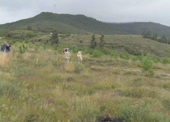 Achegas a Lei de montes veciñais en man común de Galicia