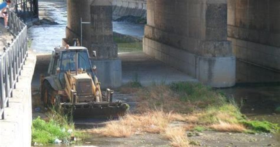 Ecologistas en Acción afirma que la Confederación Hidrográfica debió impedir la tala de árboles en el Albarregas