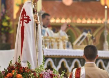 Ecologistas en Acción solicita la desestimación del macrocomplejo de los Heraldos del Evangelio en Sevilla la Nueva