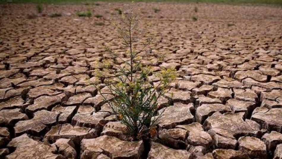 ONU advierte degradación del 40% de suelos del mundo