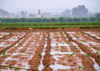 Marzo de 2022 termina como uno de los más húmedos desde 1961