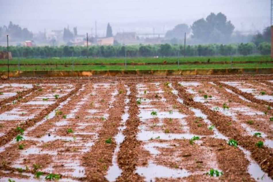 AEMET anuncia una semana de precipitaciones generalizadas tras las altas temperaturas