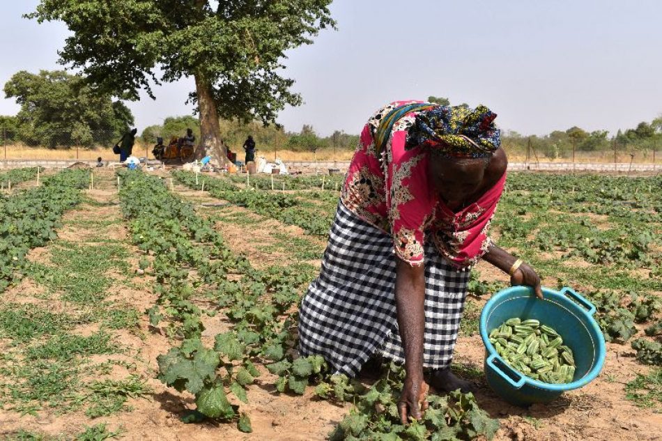 La crisis climática azota África y pone en riesgo millones de vidas en el Sahel y el Cuerno de África