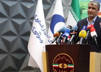 Jefe nuclear: Irán planea producir combustible enriquecido al 60%